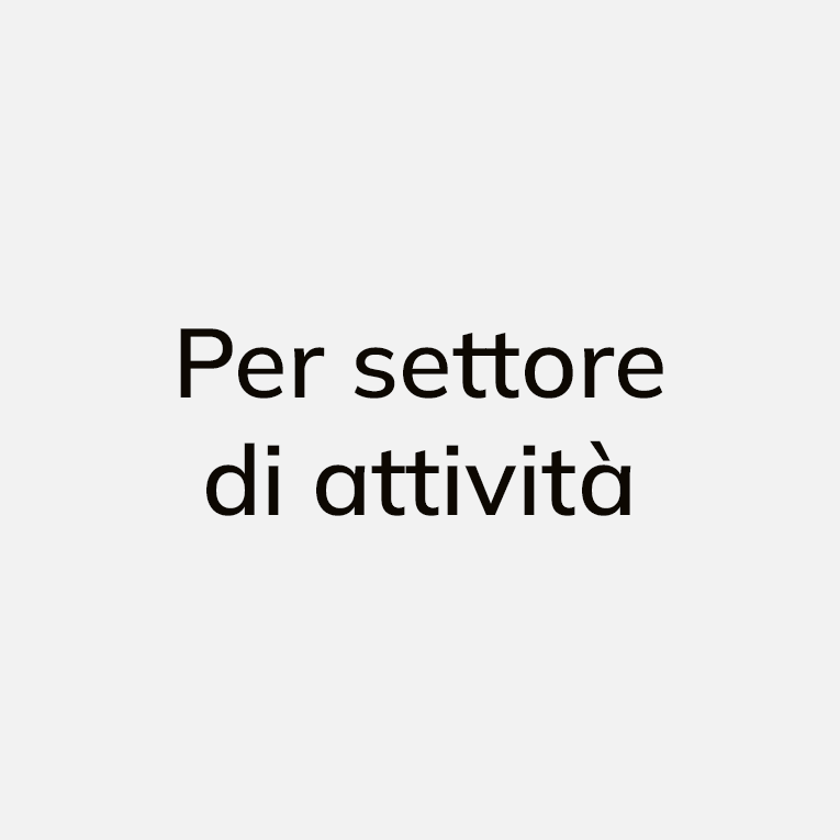 Per settore di attività
