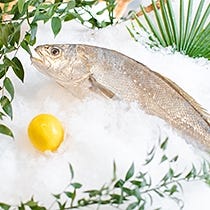 Confezioni per pescheria  