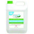 Detergente vetri azione verde gel Ecocert Bidone 5L