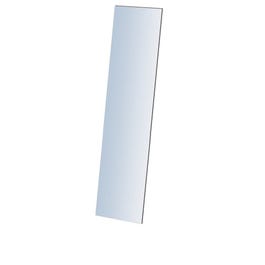 Specchio da spogliatoio L33 x P0,5 x A133cm Specchio da spogliatoio L33 x P0,5 x A133cm
