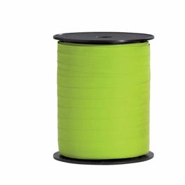 Nastro regalo carta sintetica 10mm x 250m verde anice Nastro regalo carta sintetica 10mm x 250m verde anice