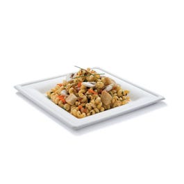 Piatto quadrato bagasse 26cm - per 50 Piatto quadrato bagasse 26cm - per 50